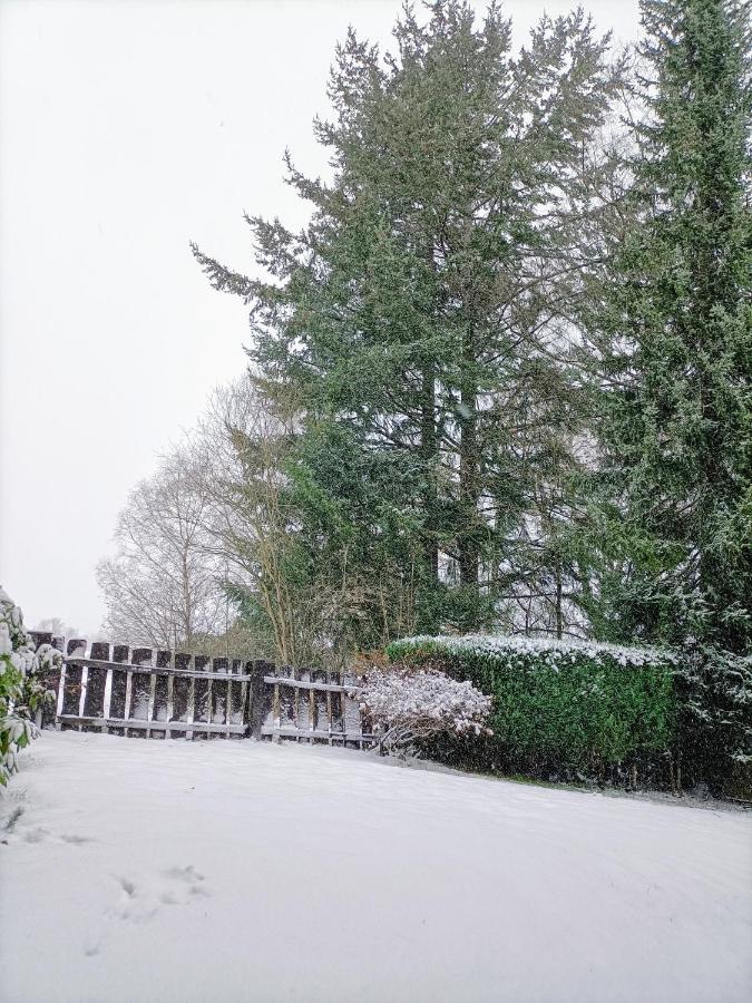 Bergfreude Chalet Braunlage Luaran gambar